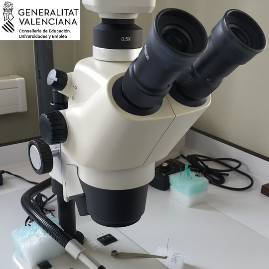 Imagen representativa del proyecto